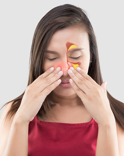 sinus